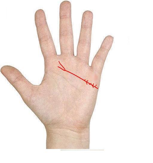 palmistry Know your Future Heart line splits up in two branches